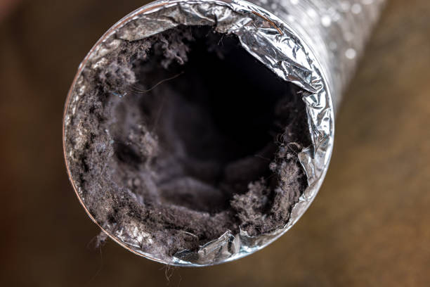 Best Affordable HVAC Duct Cleaning  in Hamlin, TX