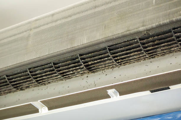 Best Air Duct Cleaning Near Me  in Hamlin, TX